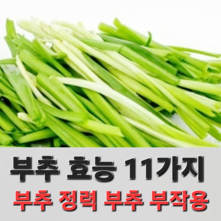 부추 효능 11가지 부추 정력 부추 부작용 : 네이버 블로그