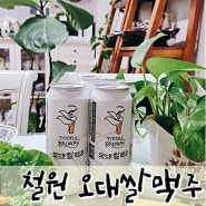 수제 맥주,철원 오대쌀 맥주 모을 브루어리