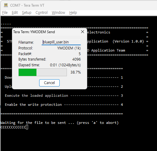 [STM32]UART Bootloader - IAP(In system Programming) with UART : 네이버 블로그