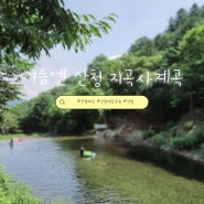 아이랑 산청 지곡사 계곡, 맑은산장농원펜션 수영장