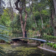 리스본 식물원 보태니컬가든, 상 페드로 데 알칸타라 전망대, 판다칸티나 리스본 우육면