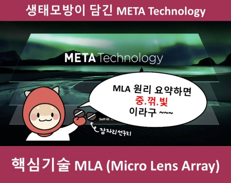 META Technology의 핵심기술 MLA 원리 총정리 (feat. 잠자리 눈 생태 모방) : 네이버 블로그