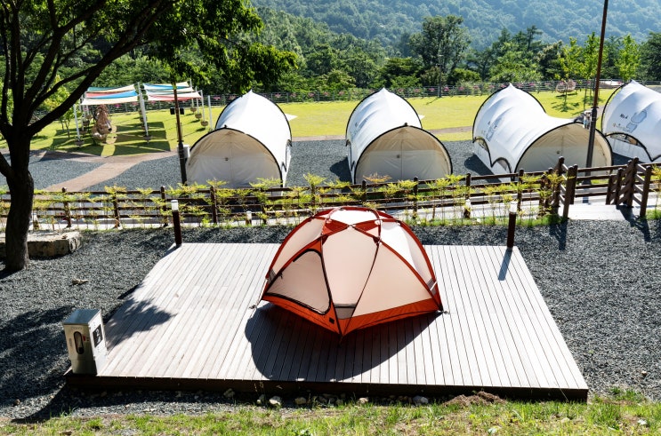 [ 캠핑 ] 진주 월아산 자연휴양림 야영장,  월아산 수국