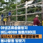 오산시 지곶동야생조류충돌방지 테이프 시공 - 조류충돌방지협회 자원봉사 참여/활동을 가다!!
