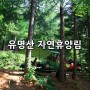 유명산 자연휴양림 캠핑(Feat 어쩌다 보니 가끔과 막 산악회 함캠)