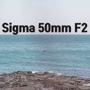 시그마 50mm F2 단렌즈 사용기