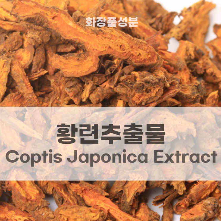황련추출물(Coptis Japonica Extract)화장품성분 알아보기 : 네이버 블로그