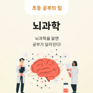 [초등 학습정보] 뇌과학을 알면 공부가 달라진다! 🧠✨