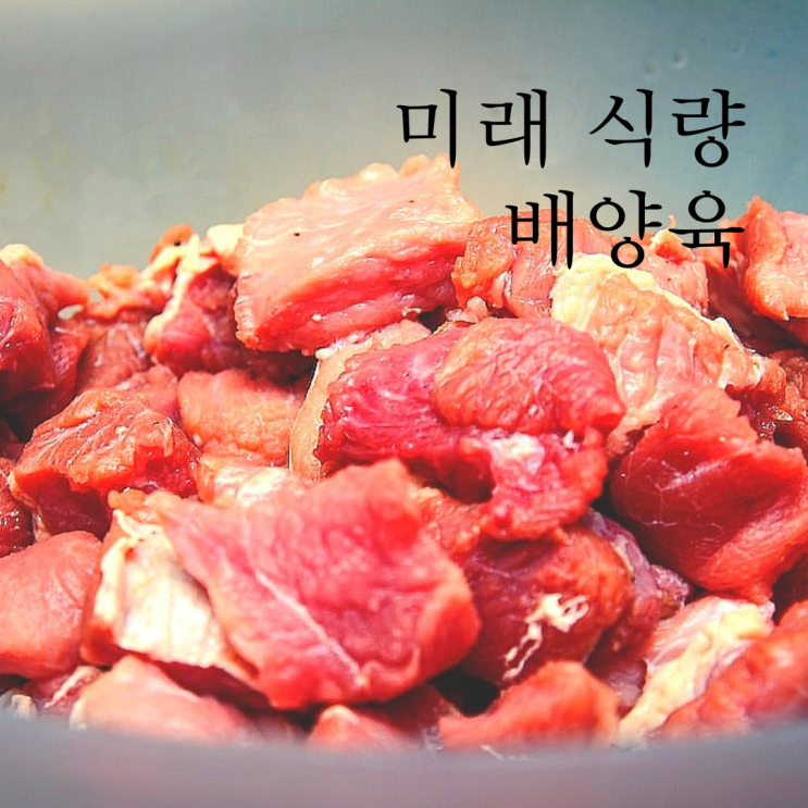 배양육 미래 식량으로의 장점 단점 및 과제 : 네이버 블로그