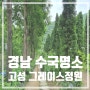 경남 수국 명소_고성 그레이스정원 개화상황