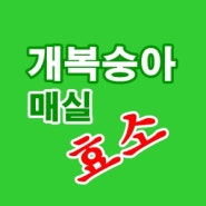 개복숭아효소만들기 매실청담그기 매실엑기스 상주외삼촌 효소만들기비법