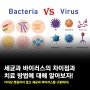 세균과 바이러스의 차이점과 치료 방법에 대해 알아보자!
