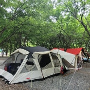 청도 자연속캠핑장 26번 자리 계곡에서 놀기좋은 캠핑장 듀랑고 에어4 이너 / 페가수스s3