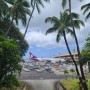 하와이 공항(입국심사/출국심사)