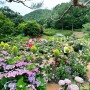 다나암, 여름날의 소풍 - 율봄식물원
