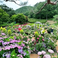 다나암, 여름날의 소풍 - 율봄식물원
