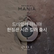 Brand News :: DEVIALET MANIA EXCLUSIVE EDITION 드비알레 마니아 시즌 컬러 한정판 출시!