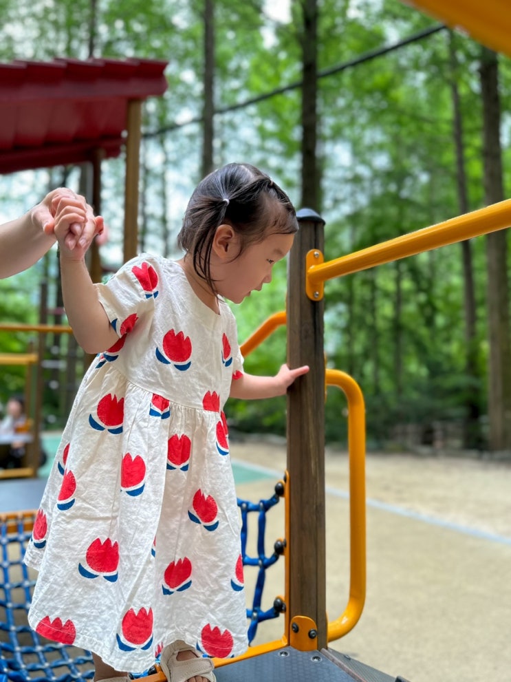 장태산 자연휴양림 자연 놀이터 대전 근교 아이랑 자연관찰 체험