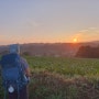 산티아고 순례길 Day 31(D-1) : 아르수아~몬테 데 고소(Arzúa~Monte de Gozo), 산티아고 5Km 전 '포로수용소', 수학여행 인솔샘의 따뜻한 배려