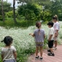 함평 자연 생태공원 : 도시락 싸들고 나들이