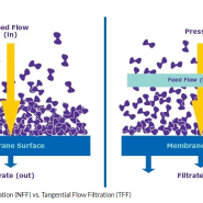 [바이오] TFF (Tangential Flow Filtration)
