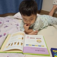 와이즈만 유아 수학사전 과학사전 재밌게 지식 쌓기!