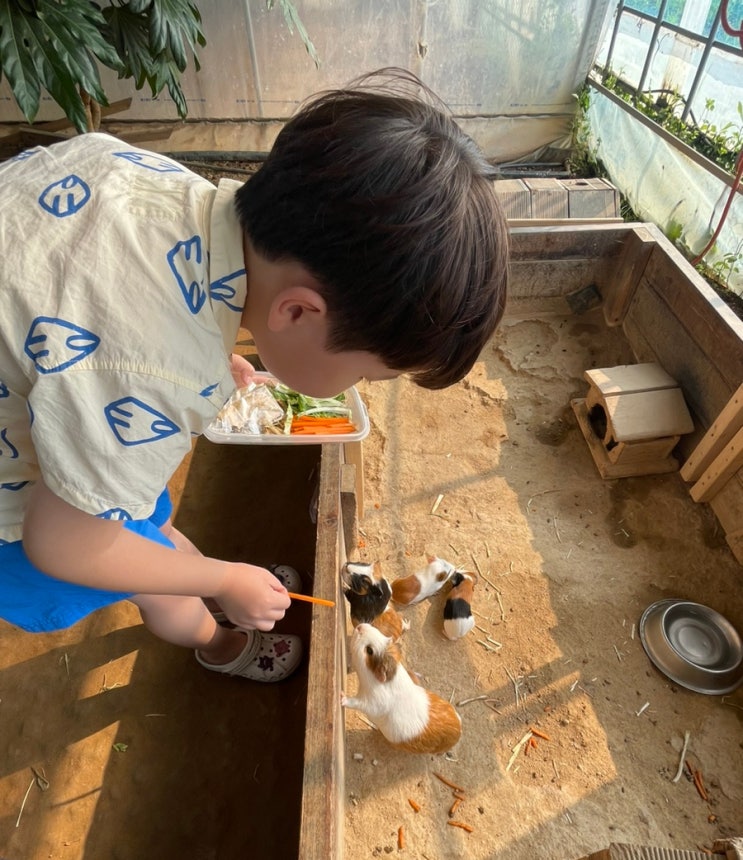 부천 아이와 가볼만한곳 부천나눔농장 서울근교 나들이 동물체험