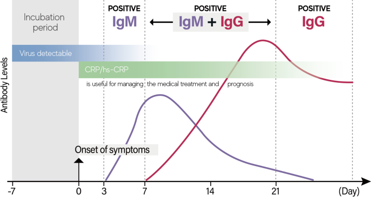 IgM IgG igm-igg
