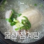 울산 북구 매곡 삼계탕 맛집 맛보고삼계탕 깔끔하고 담백한맛