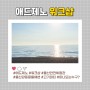 [부산 온라인 광고 대행사] 애드제노 워크샵을 가다! 1탄