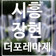 시흥 장현 더포레마제 공간제안