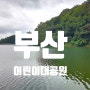 부산 어린이대공원 성지곡 수원지 녹담길 삼림욕장 편백나무숲 주차장 요금 해바라기 수국꽃