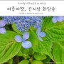 국내 여름여행 화담숲 그리고 동산들밥