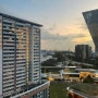 [싱가포르] 싱가폴 교환학생 2월 3주차 일상
