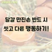달걀 만진 손 반드시 씻기! 여름철 살모넬라 식중독 주의~ |식약처 온라인 시민 감시단 3기