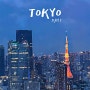 도쿄 여행 1일차 : 스크램블교차로, 시부야스카이 야경, 혼돈의 카오스 (feat. 약간의 팁)