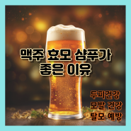 맥주 효모 샴푸의 효능 (feat. 독일 맥주 효모 샴푸 추천)