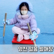 영천 얼음 썰매장 겨울 아이와 가볼만한 곳 경북 대구 근교
