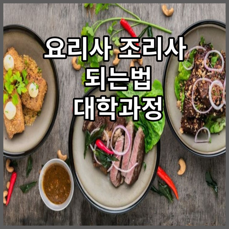 요리사 조리사 되는법 대학과정 : 네이버 블로그