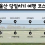 부산근교여행 │ 울산 당일치기 여행 코스