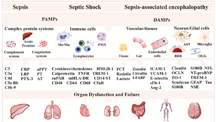 SIRS, 패혈증(sepsis), septic shock : 네이버 블로그