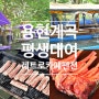 「서산 용현계곡 맛집」 수영장과 삼겹살을 한번에!레트로카페펜션