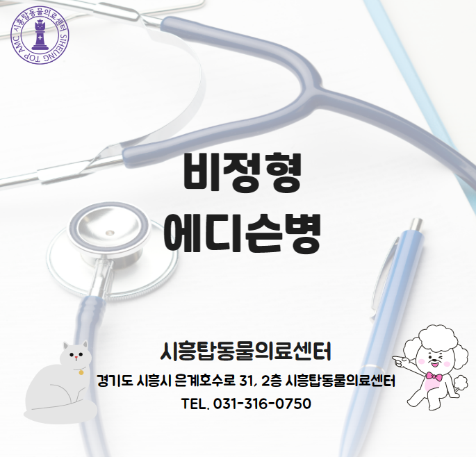 [시흥 동물병원] 비정형 에디슨병(Atypical Addison dz) : 네이버 블로그