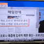 SBS Biz 재테크 노하우 100분 머니쇼 <돈이 보이는 신문 읽기> 윤성애 대표 출연