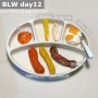 자기주도식 12일차 식단 (6개월아기 귤, 병아리콩 칙피 컬리 안심 소고기 스테이크 원물스틱)