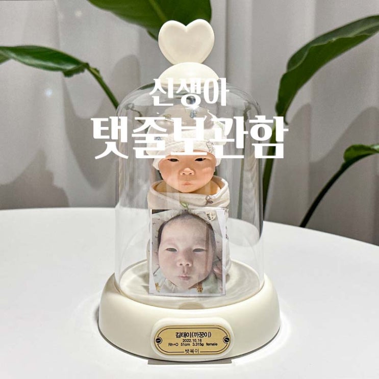 신생아 탯줄보관함 뱃복이 아기 탯줄도장 말고 인형 추천 : 네이버 블로그