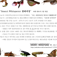 Insect Whisperer 생태과정 사전 맛보기 1일 특강