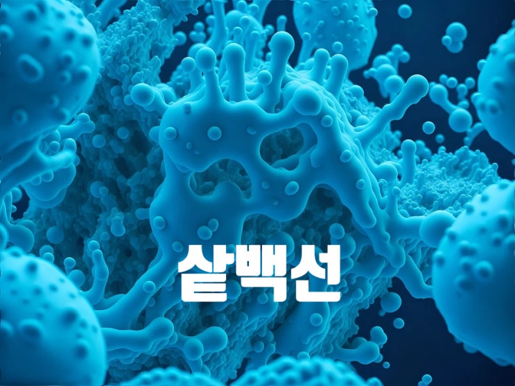 진균 감염이 원인 샅백선 치료와 증상 : 네이버 블로그