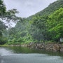 광주근교 피서지 물놀이 장소 남창계곡 남창감나무농원