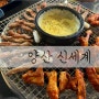 [증산맛집] 양산닭갈비는 신세계 - 환상짝꿍 치즈퐁듀와 함께 즐기다